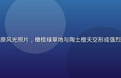 摄影师拍摄的黄金时刻草原风光照片，橄榄绿草地与陶土橙天空形成强烈色彩对比，色调饱满大气